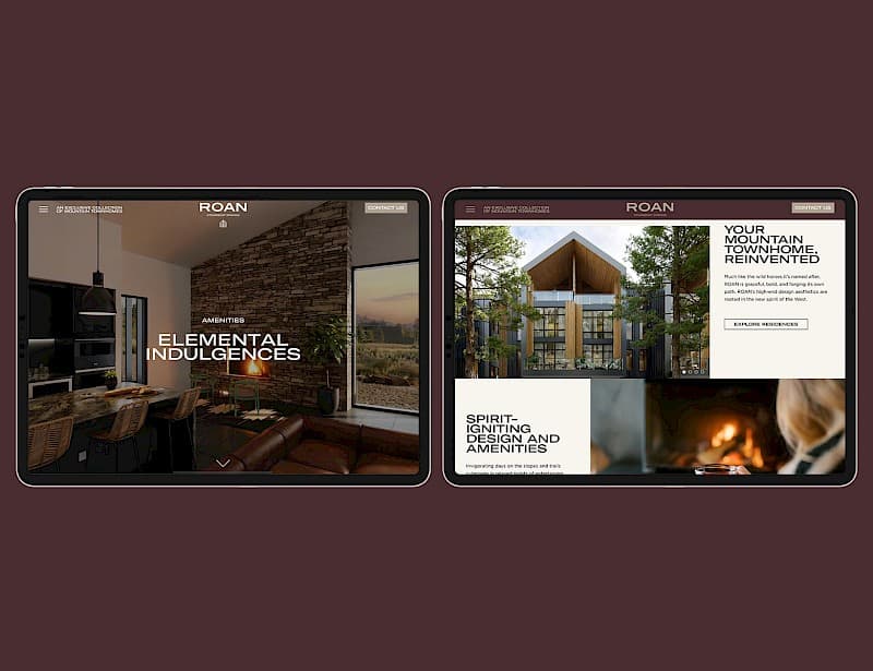 Roan project image